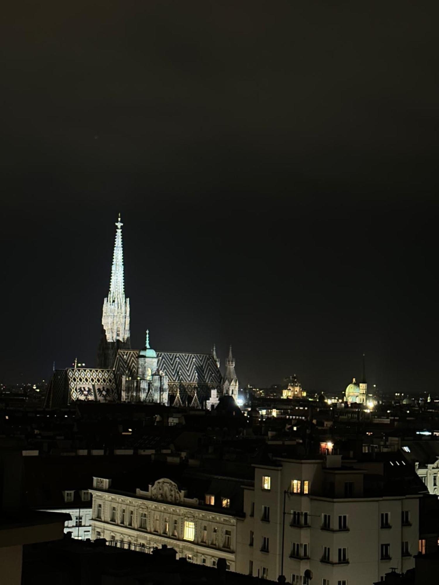 Center Apartment With 360° Rooftop Vienne Extérieur photo